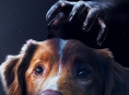 Będziesz m&oacute;gł oglądać Good Boy na Disney+ pod koniec kwietnia