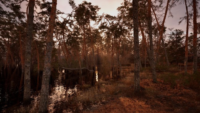 S.T.A.L.K.E.R. 2: Heart of Chornobyl