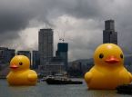 Para gigantycznych gumowych kaczek zaatakowała Hongkong
