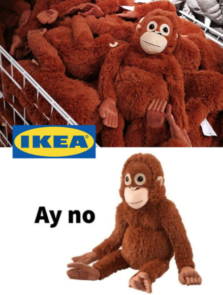 Kim jest Punch the Monkey? Młody makak, który stał się niemal bardziej znany niż Donald Trump