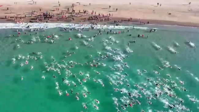 Tydzień po niemal śmiertelnym ataku rekina w Sydney, tysiące osób zbiera się, by popływać na tej samej plaży w okazji emocjonalnego hołdu