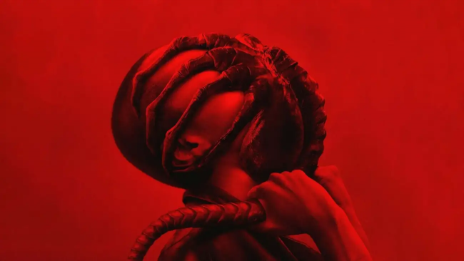 Sigourney Weaver może ponownie wcielić się w Ripley w nowym filmie o Obcym