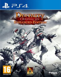 Divinity: Original Sin