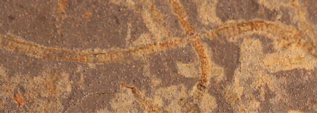 Naukowcy odkrywają ślady życia fotosyntetycznego starsze niż dotąd znane