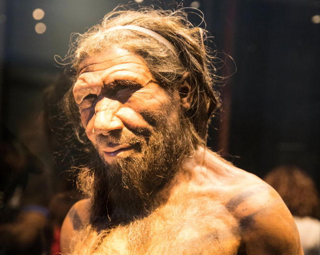 Badania sugerują, że samce neandertalczyków częściej łączą się z ludzkimi samicami