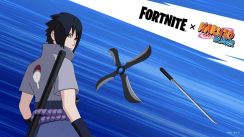 Related Image