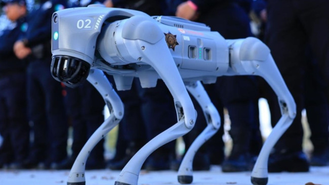 Robotyczne psy będą strzec Mistrzostw Świata 2026