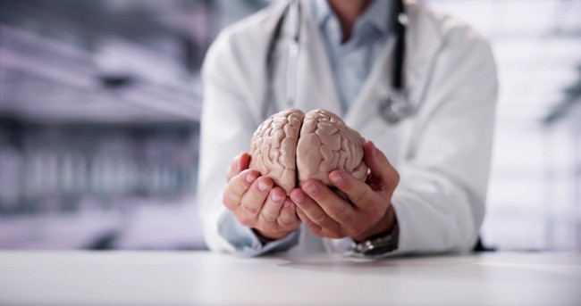 Naukowcy stworzyli pierwszy szczegółowy atlas tego, jak ludzki mózg rozwija się od embrionu do dorosłości