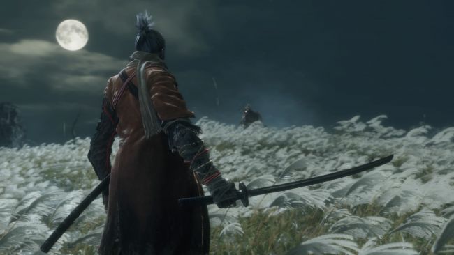 Sekiro: Shadows Die Twice