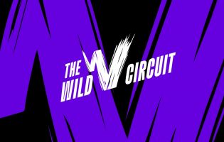 Riot Games ogłasza The Wild Rift Circuit