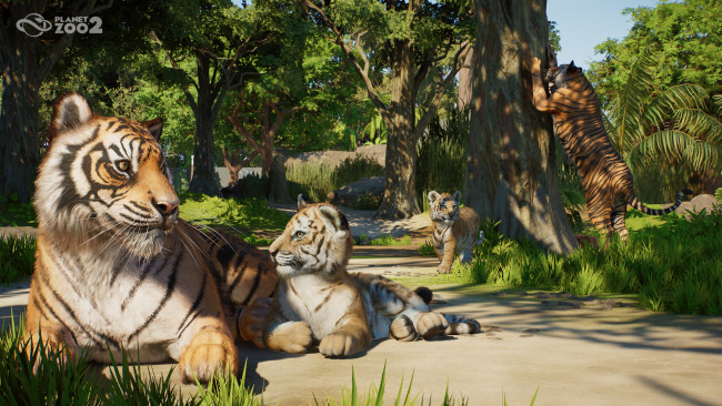 Planet Zoo 2 Zapowiedź: Ambitna kontynuacja, która podnosi poziom formuły Planet