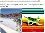 Oficjalne konto Olympics X cicho usuwa zabawny post dotyczący wirusowego, ale dość niebezpiecznego incydentu z psem