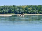 Zatopione nazistowskie okręty wojenne wypływają po rekordowo niskim poziomie wody w Dunaju