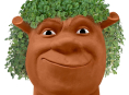 Powstaje film lub serial Chia Pet 