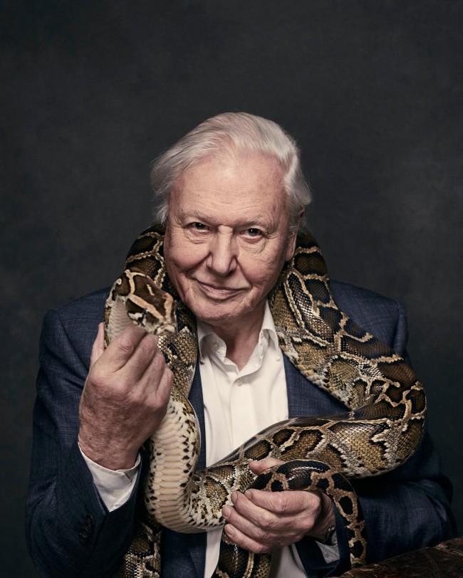 Najbardziej poszukiwana aktorka na Pornhubie ujawnia swoją sekretną sympatię: David Attenborough