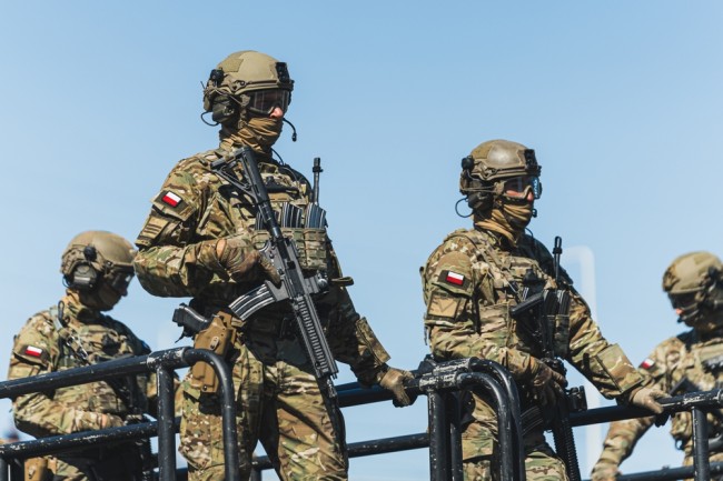 Polska armia wkracza, by pomóc chronić kluczowe elektrowniki przed rosyjskim "terroryzmem państwowym"