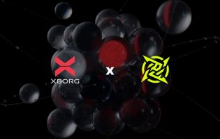 Ninjas in Pyjamas współpracuje z firmą Web3 XBorg