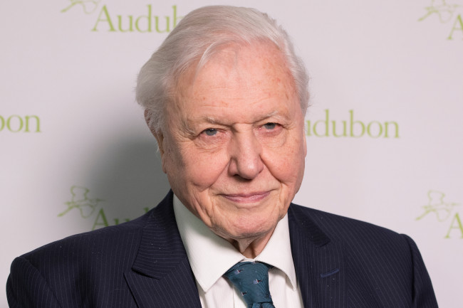 Sir David Attenborough otrzymuje "przytłaczające" wiadomości urodzinowe z okazji setnych urodzin