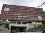 Francuski szpital ewakuowany po znalezieniu pocisk&oacute;w artyleryjskich z I wojny światowej w odbytnicy pacjenta podczas operacji