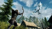 Todd Howard has turned down multiple The Elder Scrolls TV adaptations